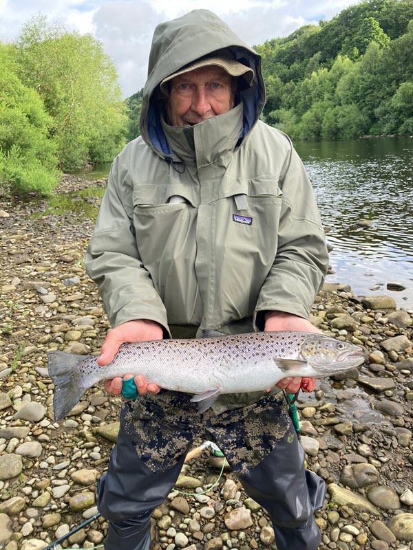 Tyne Sea_Trout 